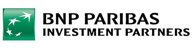 BNP Paribas Easy S&P 500 Ucits Etf EUR C Cap (PAR)